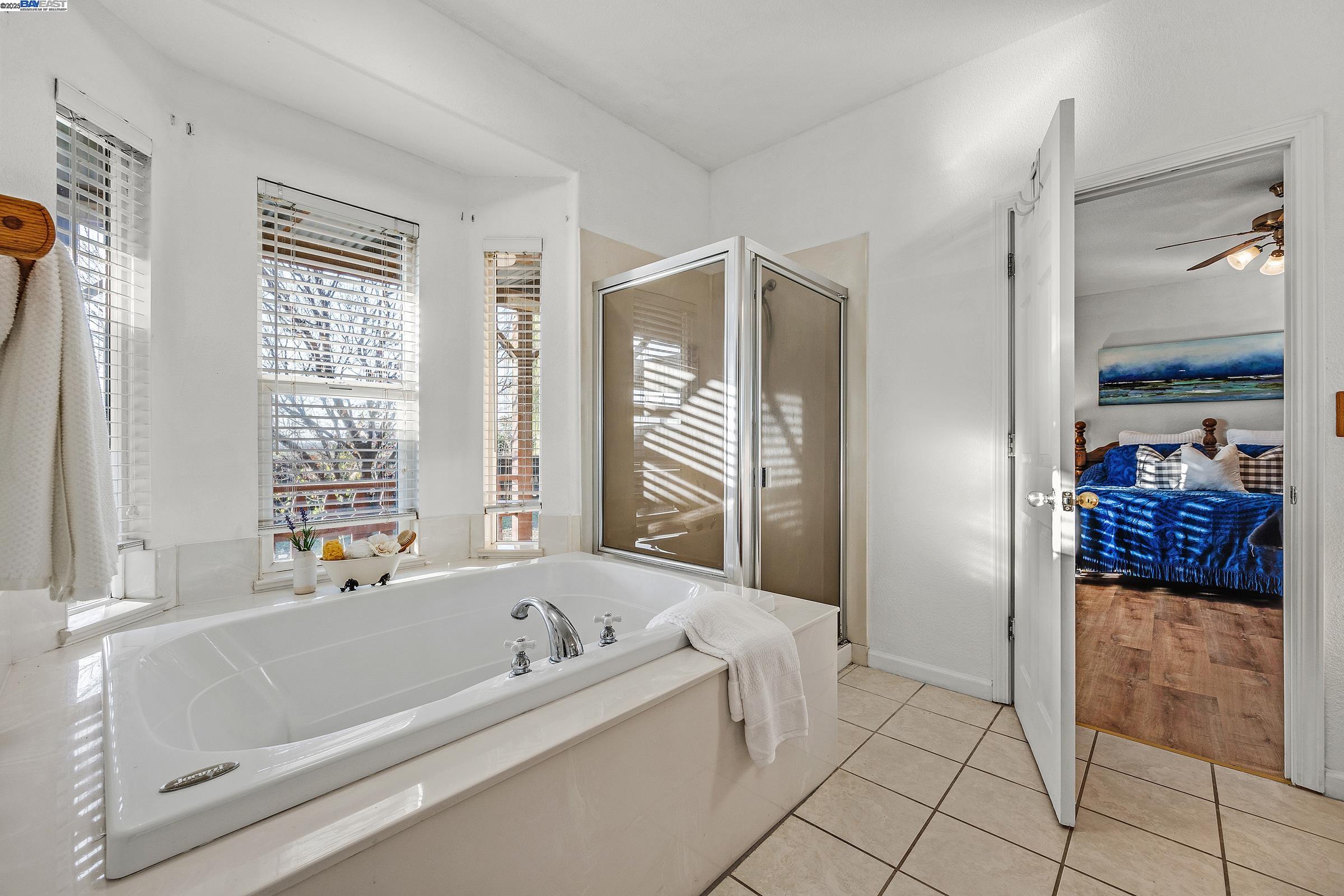 21021 South Reeve Road Tracy, CA 95304 - Photo 19 of 60 Gallery Image 19