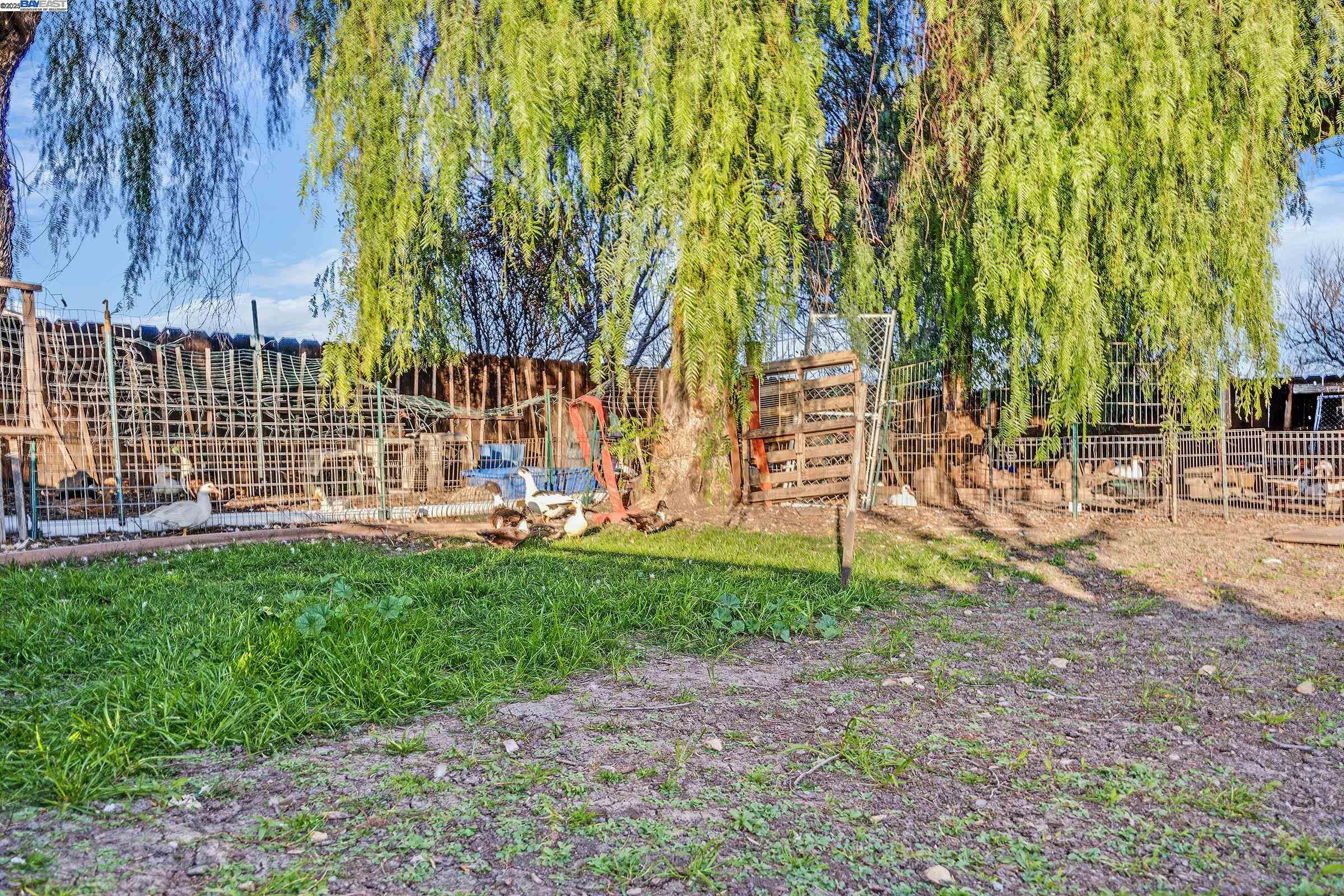21021 South Reeve Road Tracy, CA 95304 - Photo 50 of 60 Gallery Image 50