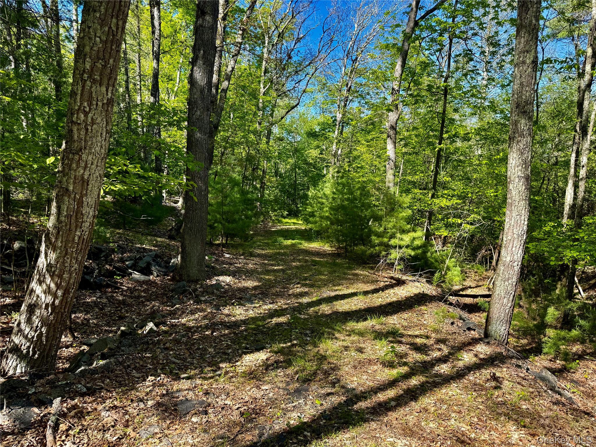 101 Stone Road Hurley, NY 12491 - Photo 13 of 24 a view of a yard with plants and trees