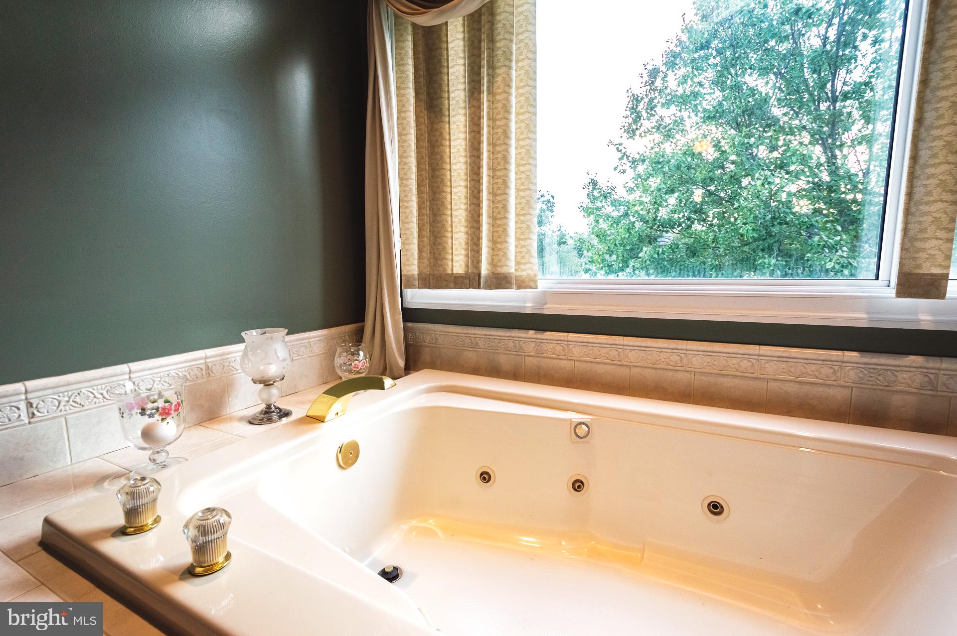 312 Huntersridge Road Winchester, VA 22602 - Photo 66 of 123 Gallery Image 66