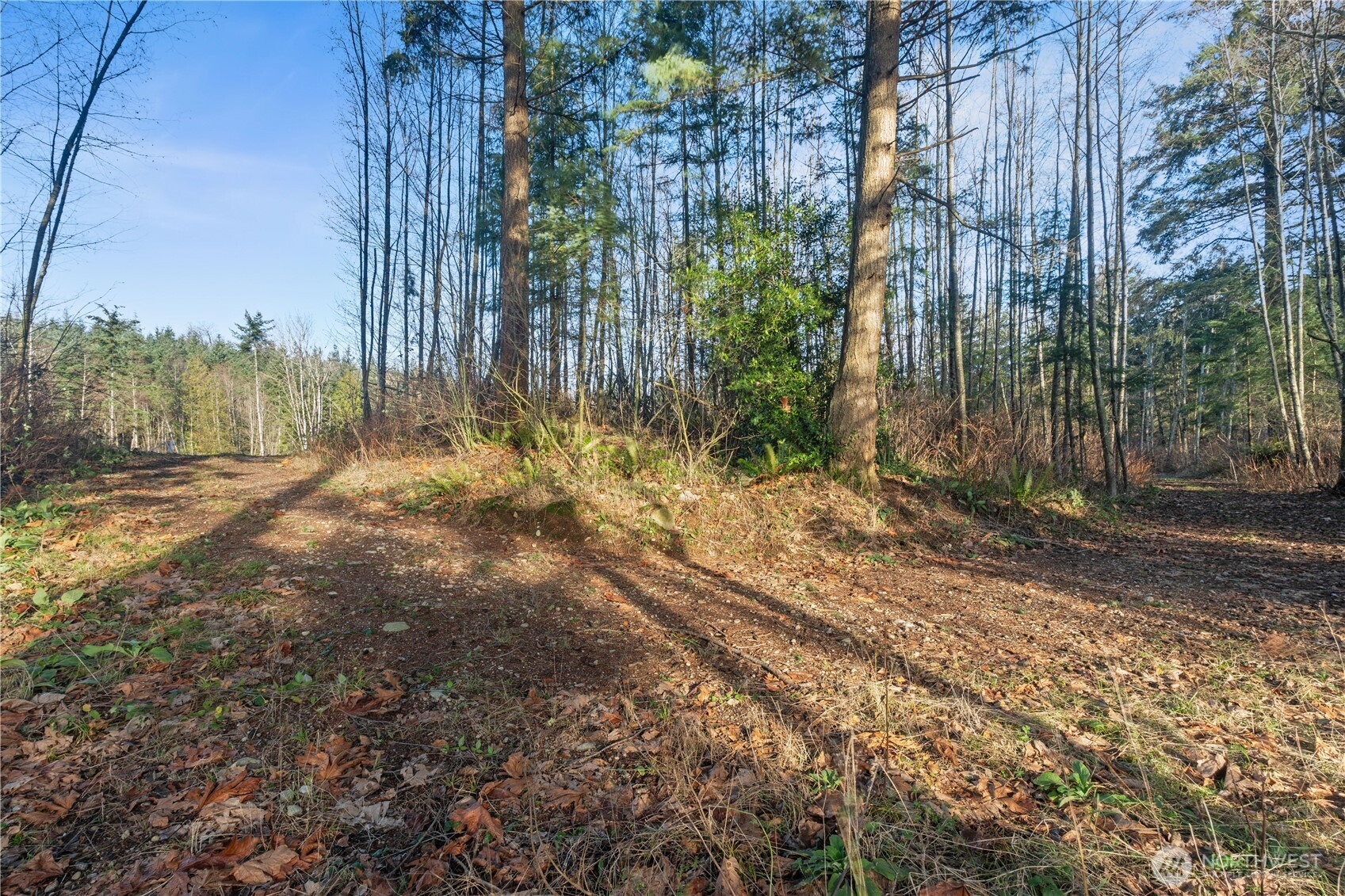 3264 H Street Road Blaine, WA 98230 - Photo 23 of 25