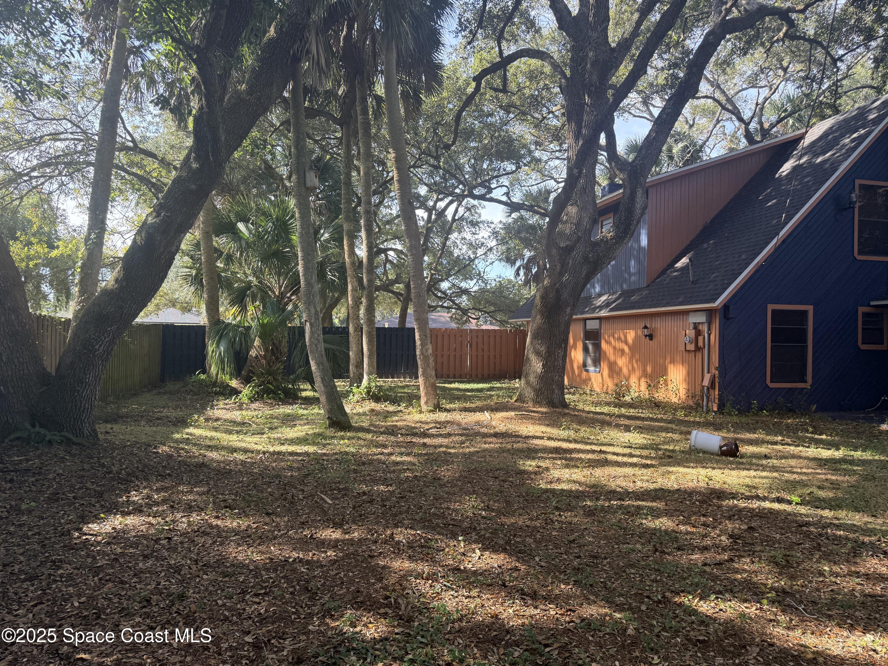 951 Pembroke Avenue Northeast Palm Bay, FL 32907 - Photo 8 of 10 a view of a yard with a tree