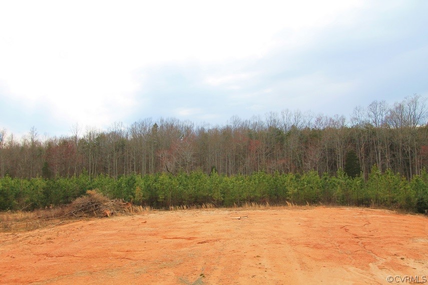 1387 Waltons Store Road Louisa, VA 23093 - Photo 8 of 35