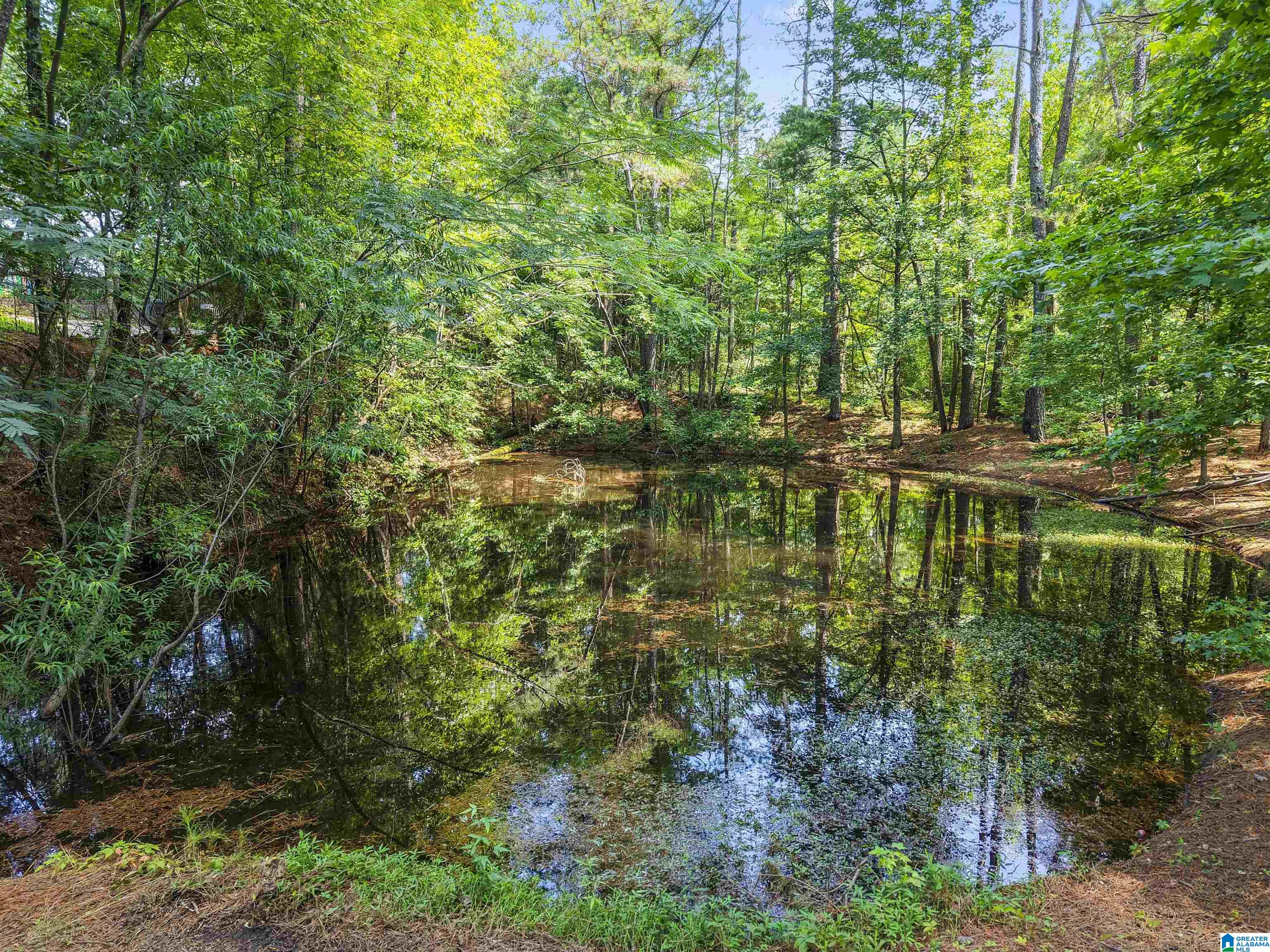 9483 Dads Hill Road Warrior, AL 35180 - Photo 28 of 37