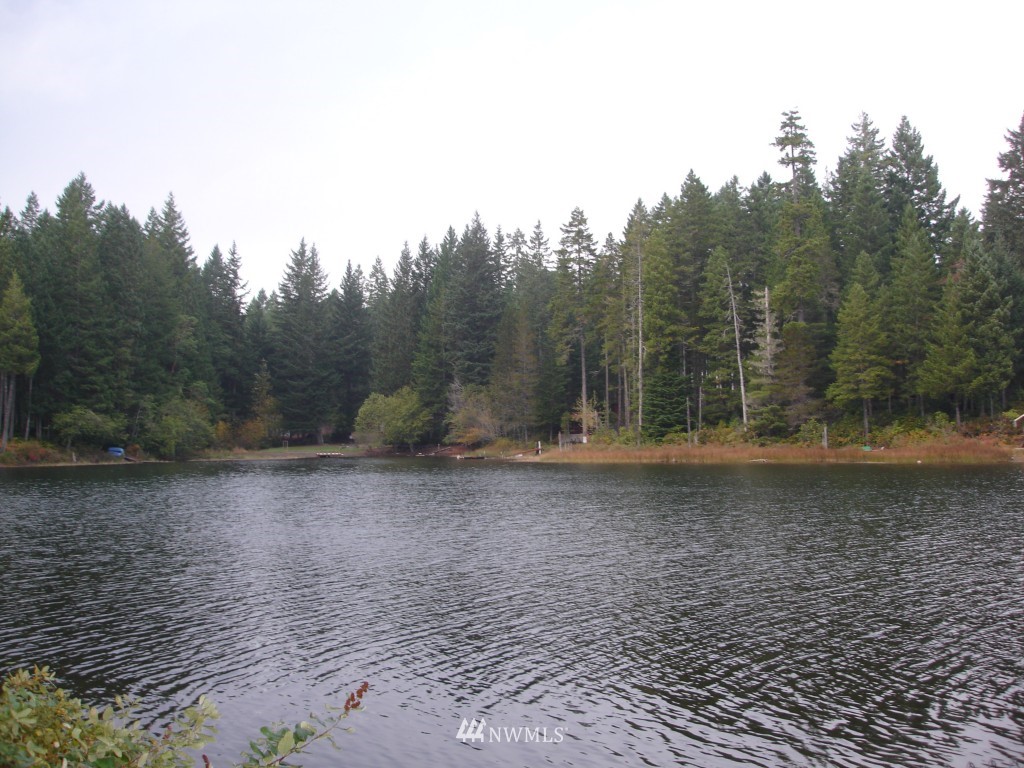 2101 Northeast Tee Lake Road Tahuya, WA 98588 - Photo 1 of 7 Gallery Image 1