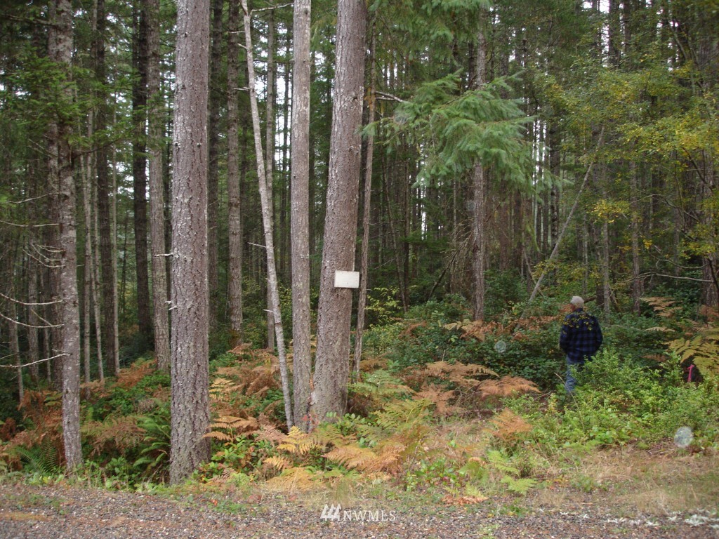 2101 Northeast Tee Lake Road Tahuya, WA 98588 - Photo 3 of 7 Gallery Image 3
