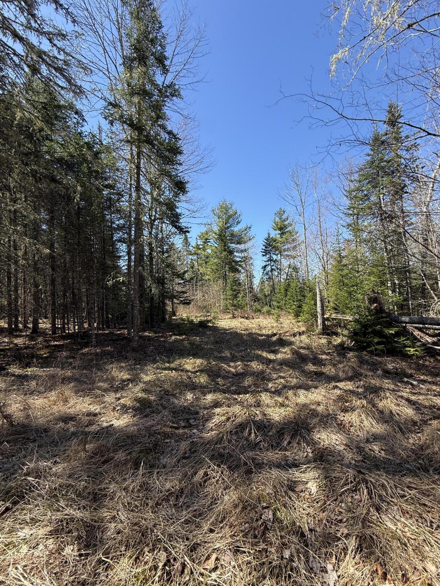 Lot 016-2 Old Fisher Road Holden, ME 04429 - Photo 3 of 10 IMG_6743