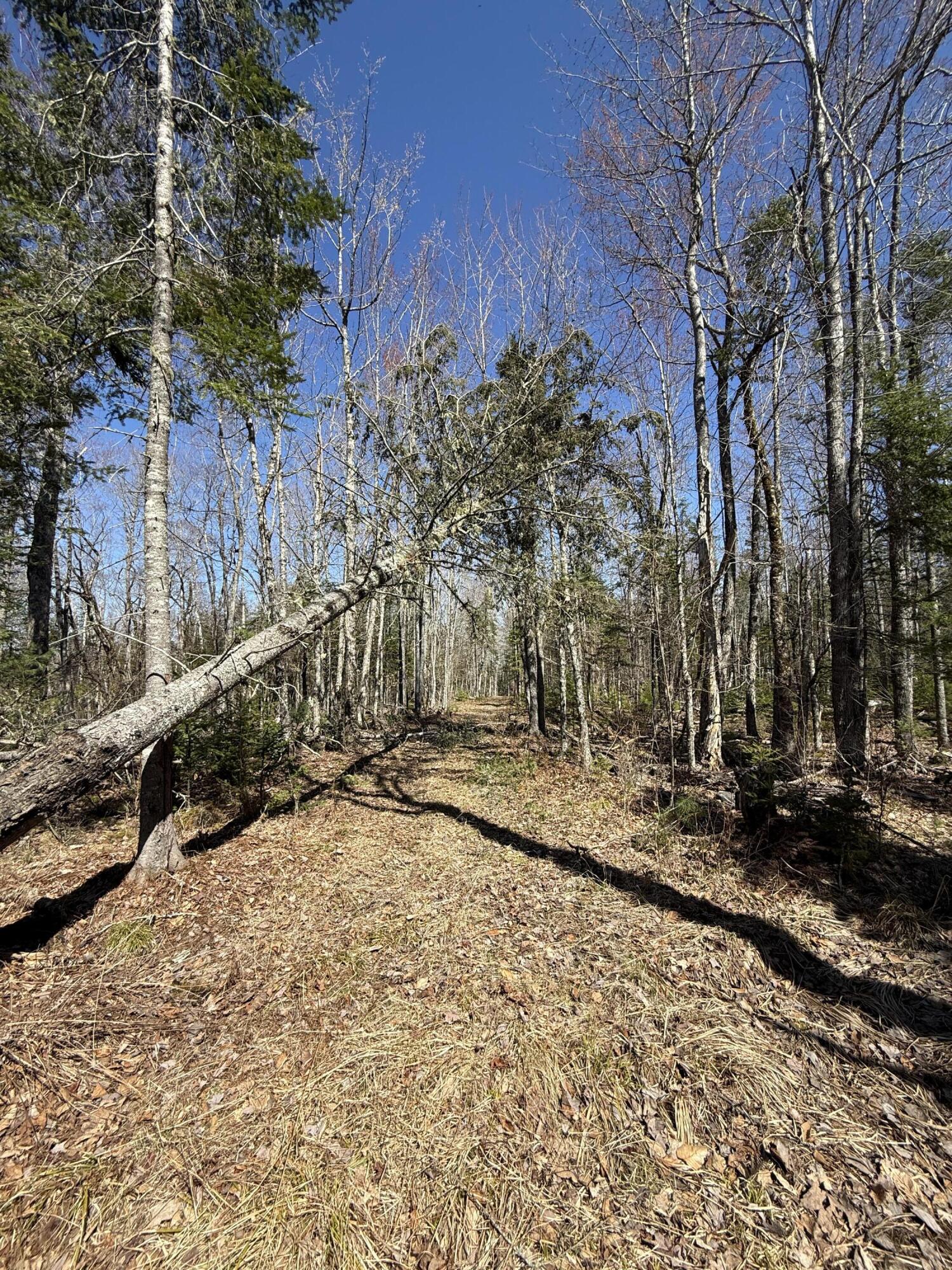 Lot 016-2 Old Fisher Road Holden, ME 04429 - Photo 4 of 10 IMG_6742