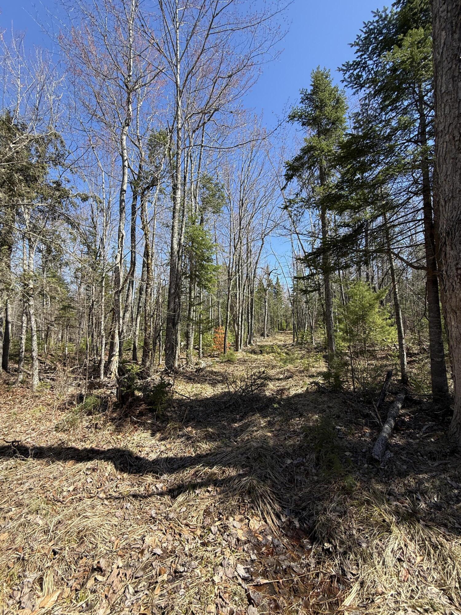 Lot 016-2 Old Fisher Road Holden, ME 04429 - Photo 5 of 10 IMG_6741