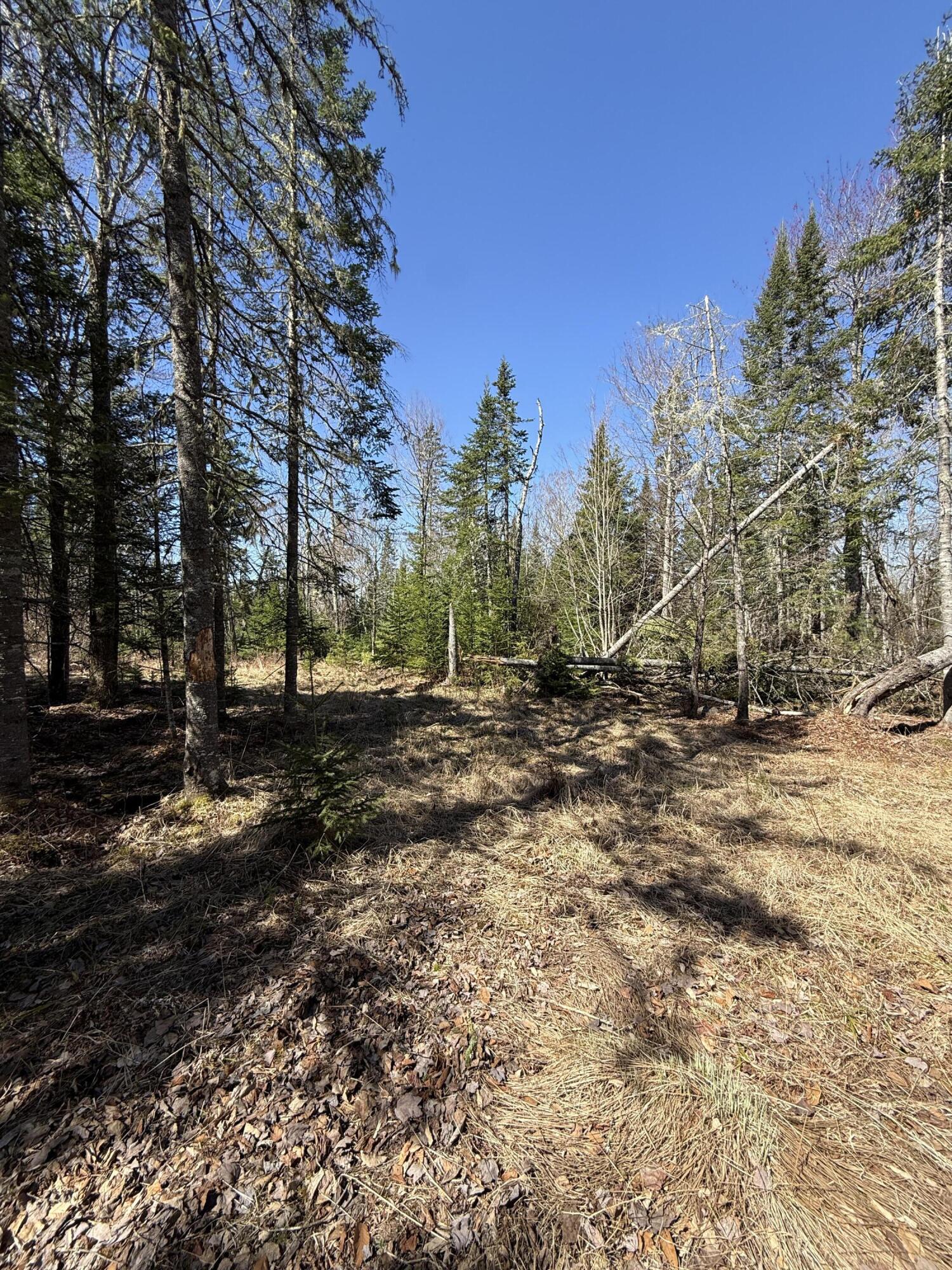 Lot 016-2 Old Fisher Road Holden, ME 04429 - Photo 6 of 10 IMG_6739