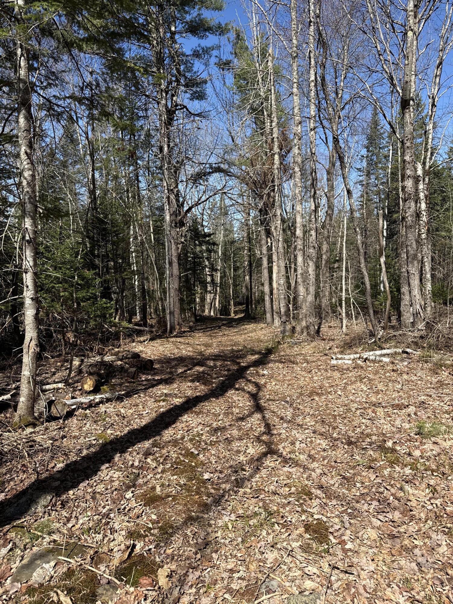 Lot 016-2 Old Fisher Road Holden, ME 04429 - Photo 10 of 10 IMG_6731