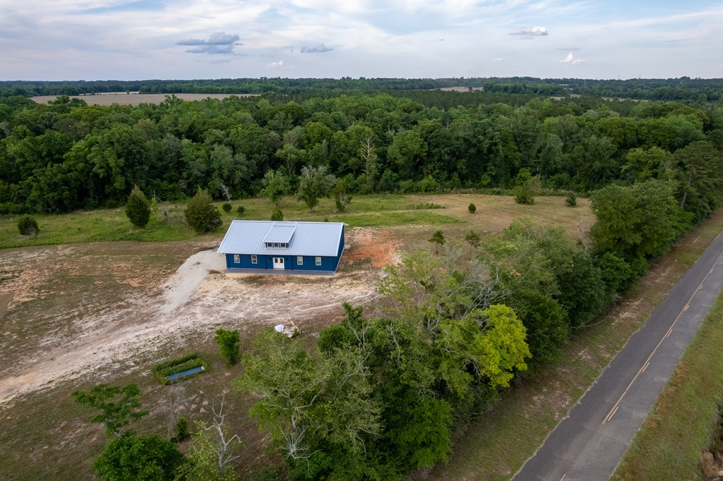 1087 Bruner Pond Road, Unit 2 Ashford, AL 36312 - Photo 51 of 61