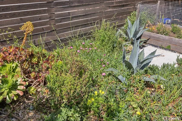 $1,299,000 | 1479 Newcomb Avenue, San Francisco, CA 94124