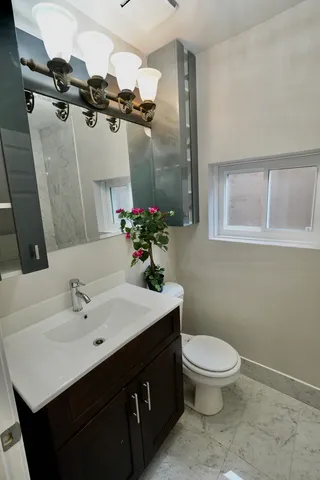 a bathroom with a sink mirror toilet and vanity