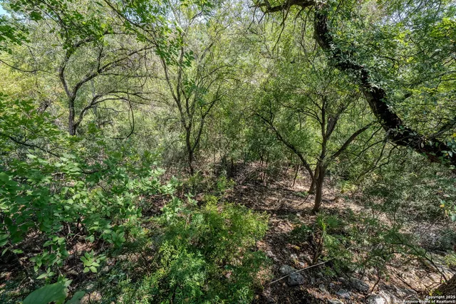 $449,900 | 3161 Tanglewood Trail, Spring Branch, TX 78070