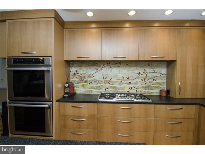 470 Clothier Road Wynnewood, PA 19096 - Photo 8 of 25 Kitchen
