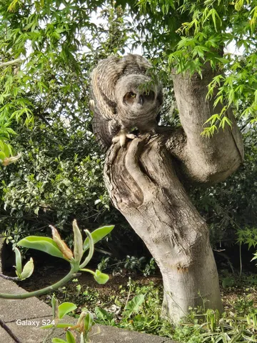 $4,250,000 | 1455 County Road 825 East, Cannelburg, IN 47519