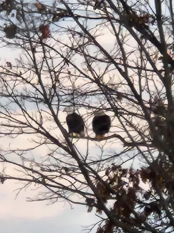 $4,250,000 | 1455 County Road 825 East, Cannelburg, IN 47519