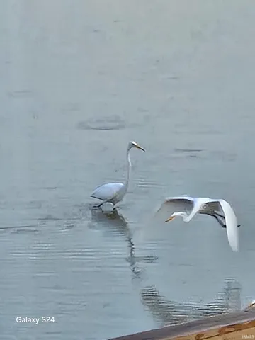 $4,250,000 | 1455 County Road 825 East, Cannelburg, IN 47519