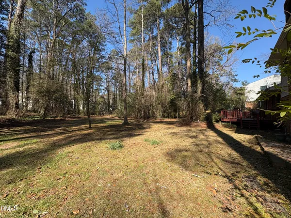 a row of trees with house in background