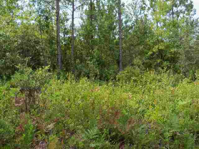 1598 Southwest San Pedro Road Madison County, FL 32340 - Photo 4 of 19 Gallery Image 4