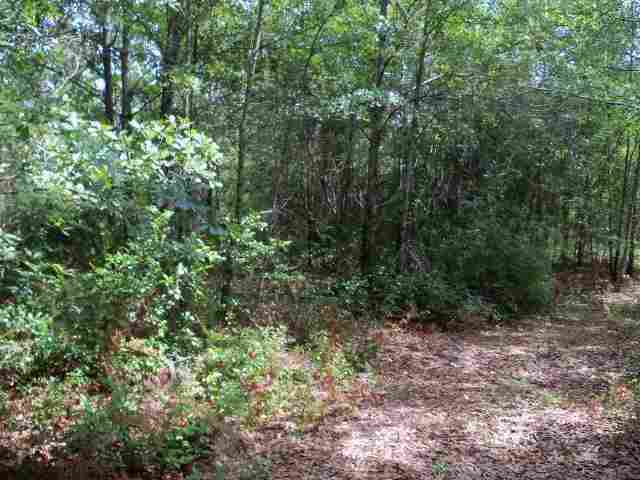 1598 Southwest San Pedro Road Madison County, FL 32340 - Photo 6 of 19 Gallery Image 6