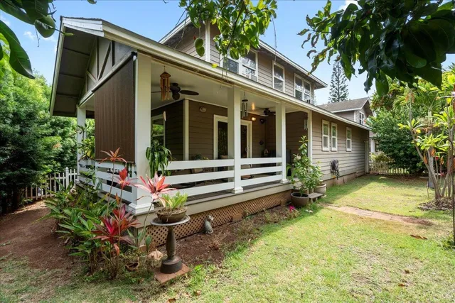 a view of a wooden floor and a plant