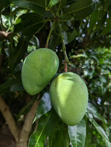 a view of balcony with furniture and garden