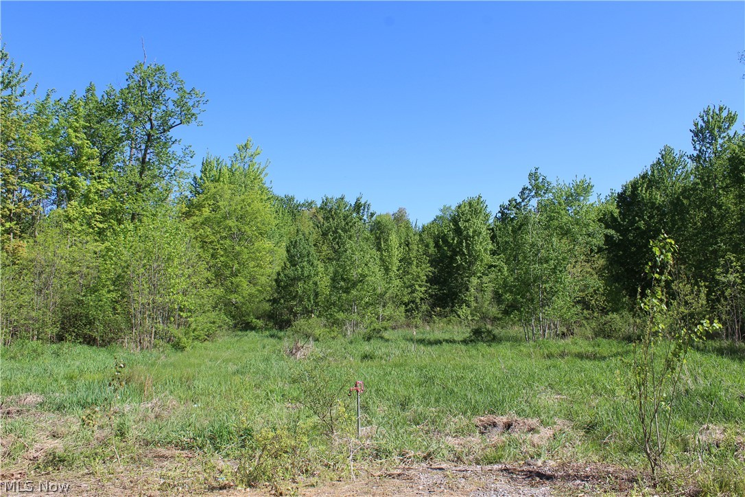 5875 Highway 6 Rome, OH 44085 - Photo 12 of 27