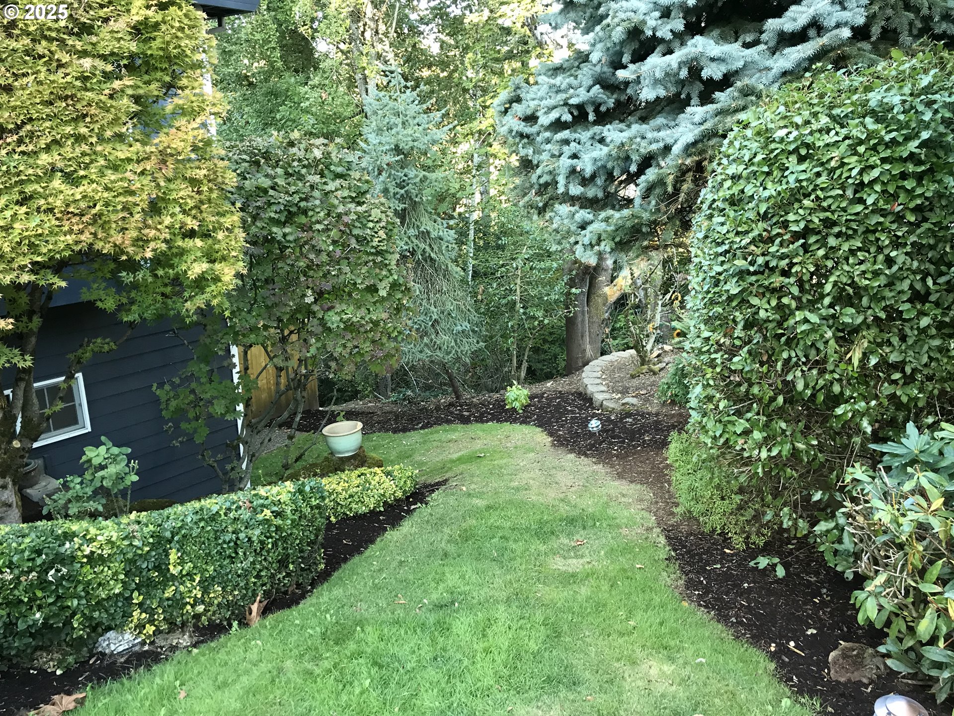 17413 Wake Robin Circle Oregon City, OR 97045 - Photo 3 of 27 a view of backyard with green space