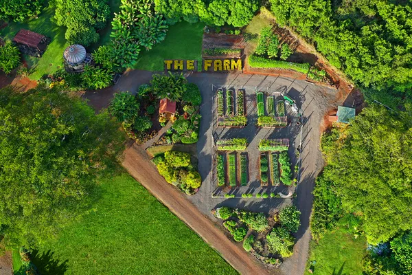 a view of a lake with a yard