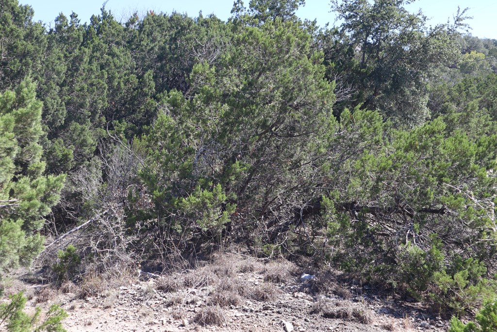 Lot 70 Golf Dr Spring Branch, Unit 70 Spring Branch, TX 78070 - Photo 3 of 7