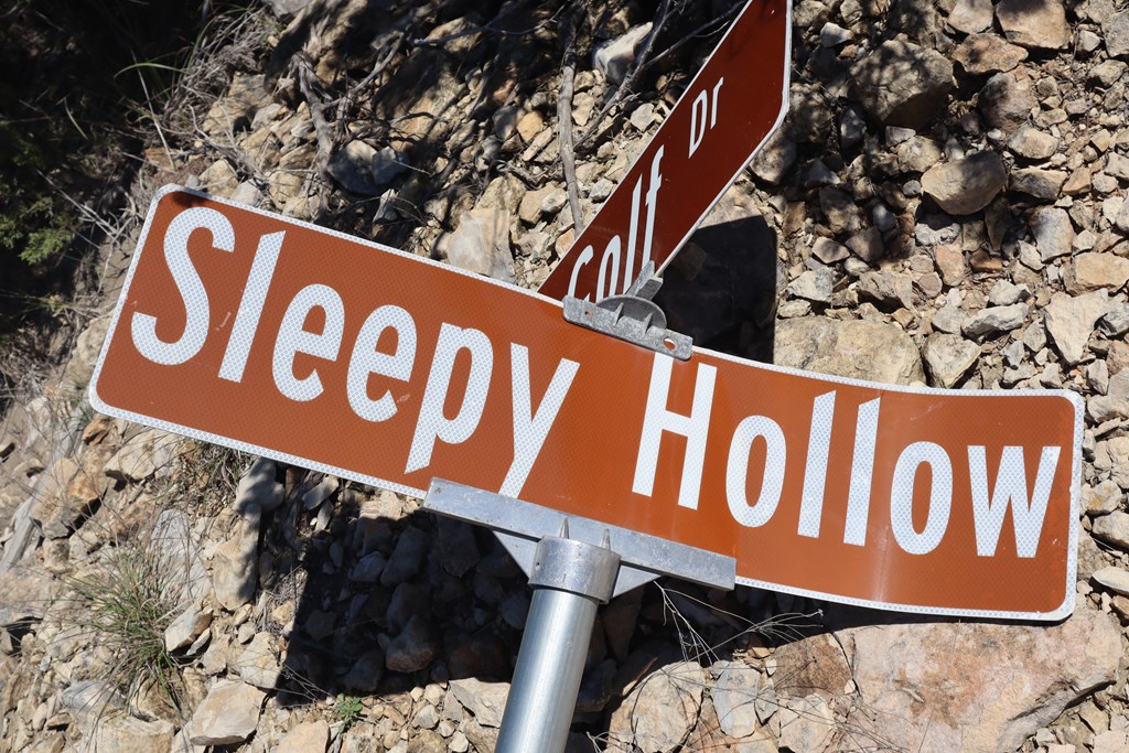 Lot 70 Golf Dr Spring Branch, Unit 70 Spring Branch, TX 78070 - Photo 7 of 7