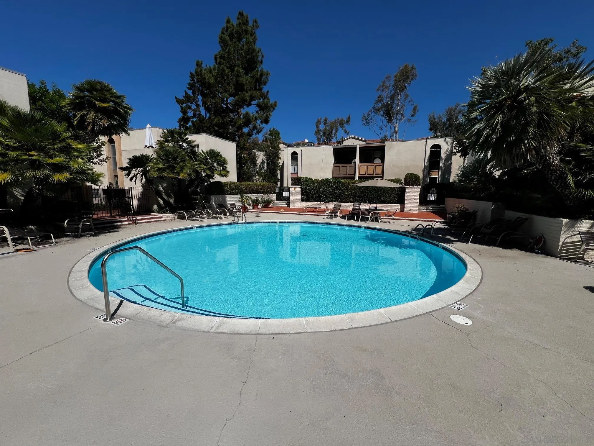4881 Collwood Boulevard, Unit B San Diego, CA 92115 - Photo 13 of 17 a view of a swimming pool with a yard and palm trees