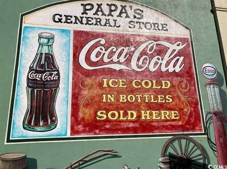 3048 Gadwall Drive Aynor, SC 29511 - Photo 24 of 36