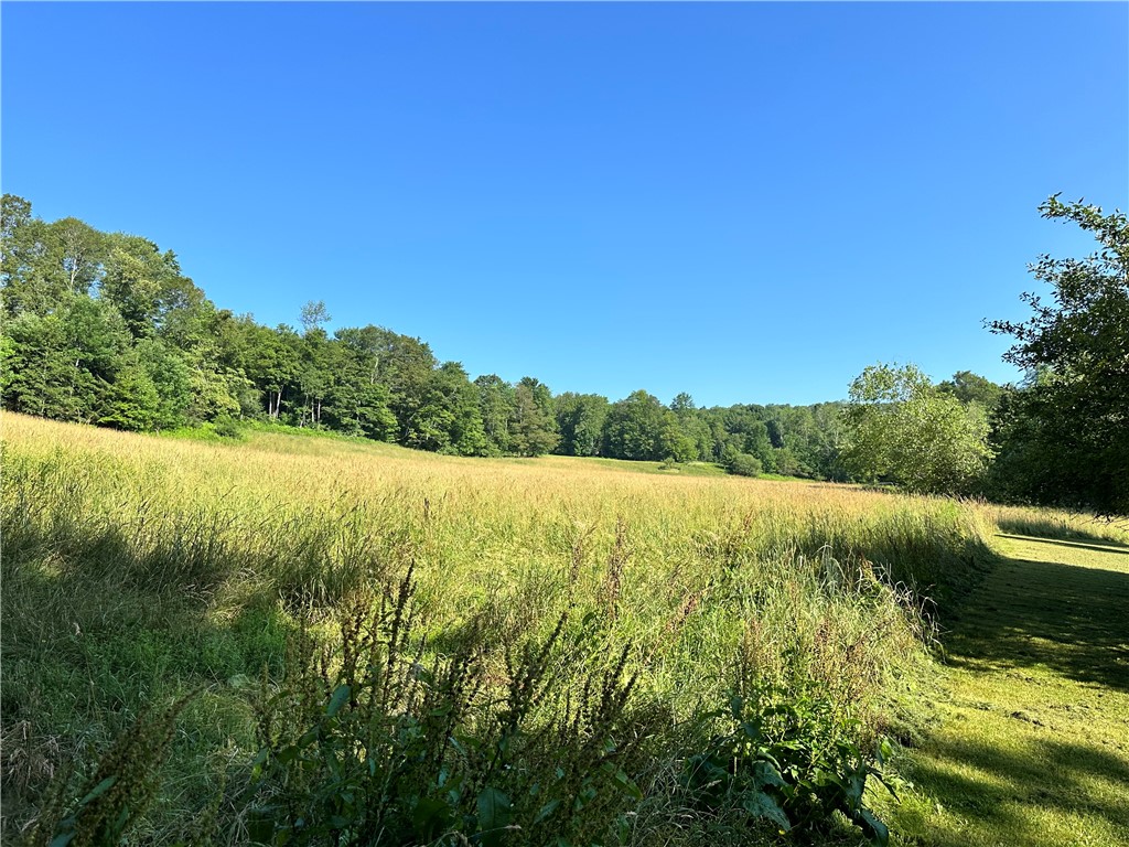 1682 Walton Mountain Road Walton, NY 13856 - Photo 34 of 40