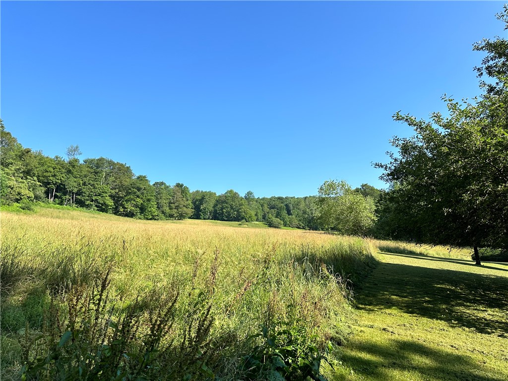 1682 Walton Mountain Road Walton, NY 13856 - Photo 35 of 40