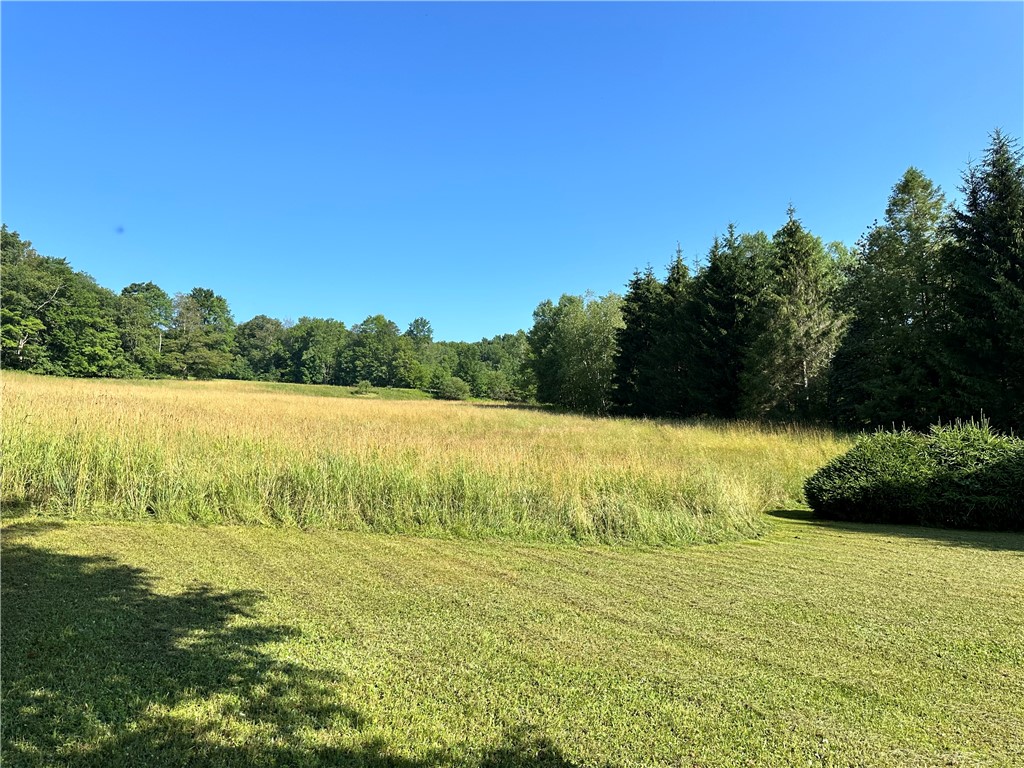 1682 Walton Mountain Road Walton, NY 13856 - Photo 36 of 40