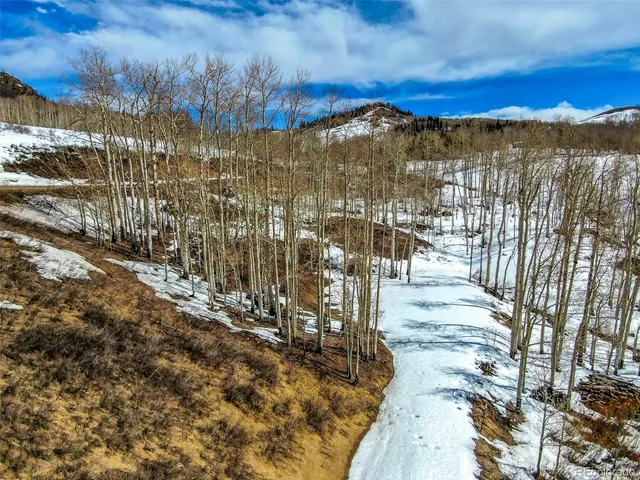 a view of a city with tall trees