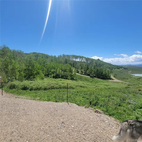 a view of a road with a yard