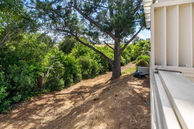 a view of a wooden deck