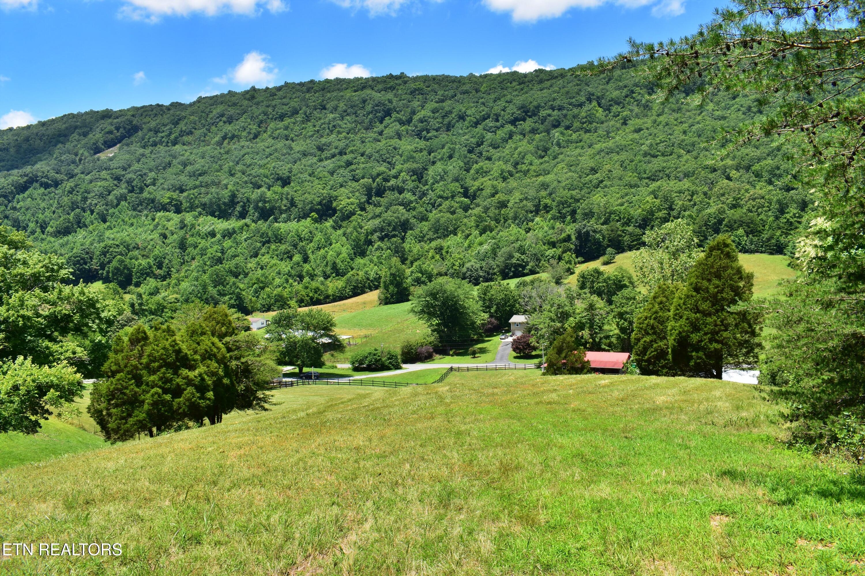 1319 Ideal Valley Road Spring City, TN 37381 - Photo 42 of 49 DSC_0773