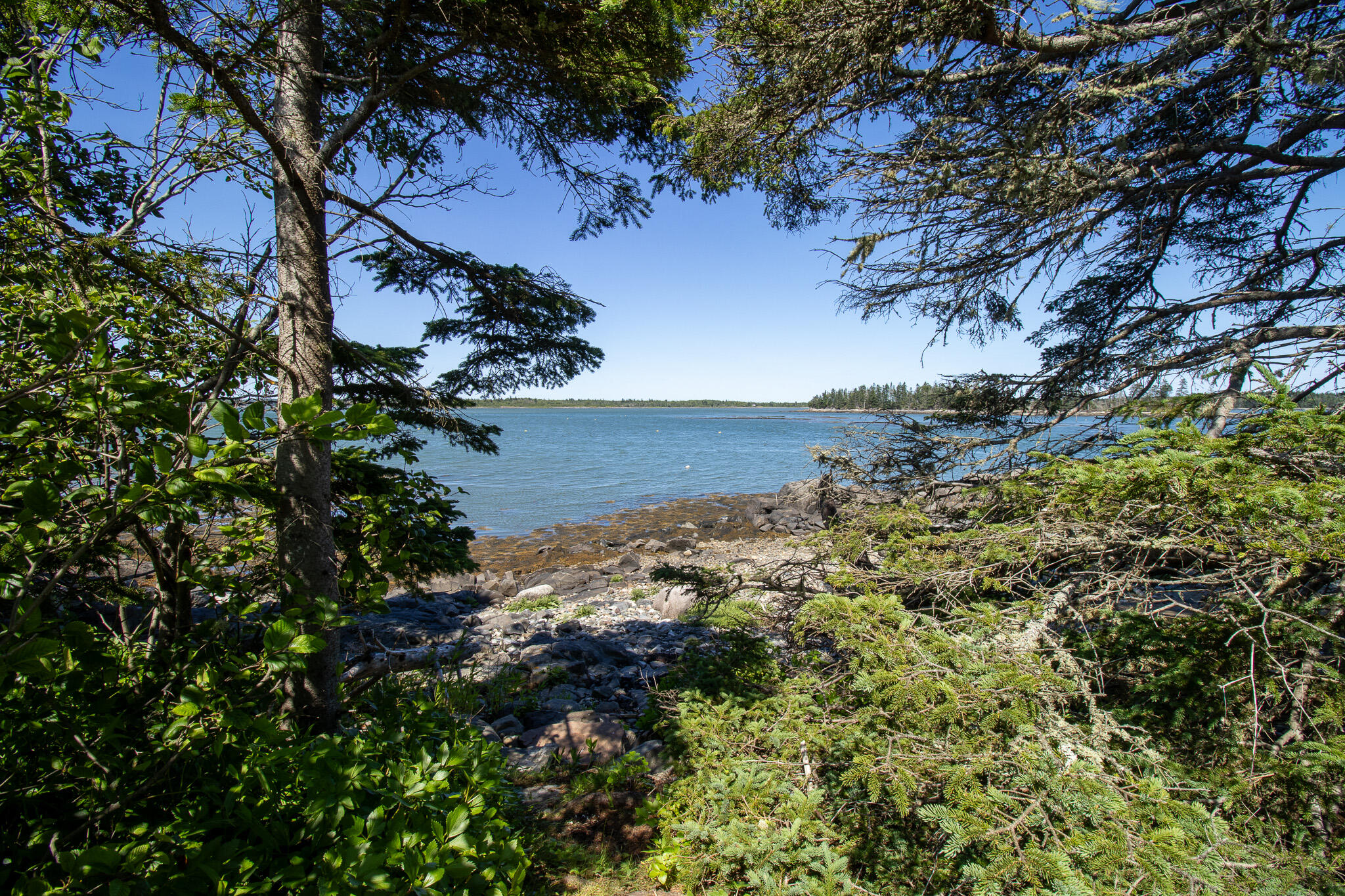 0 Wohoa Bay Island Addison, ME 04606 - Photo 32 of 69 44