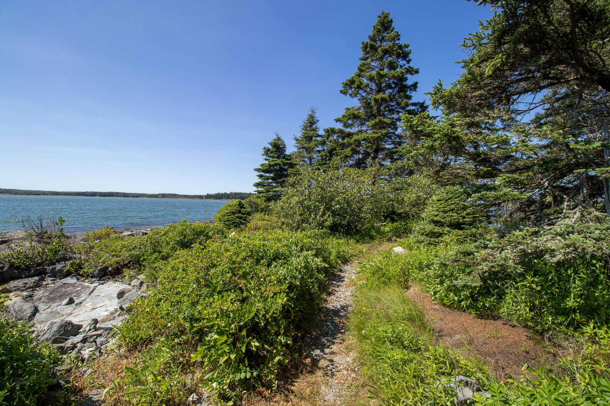 0 Wohoa Bay Island Addison, ME 04606 - Photo 34 of 69 42