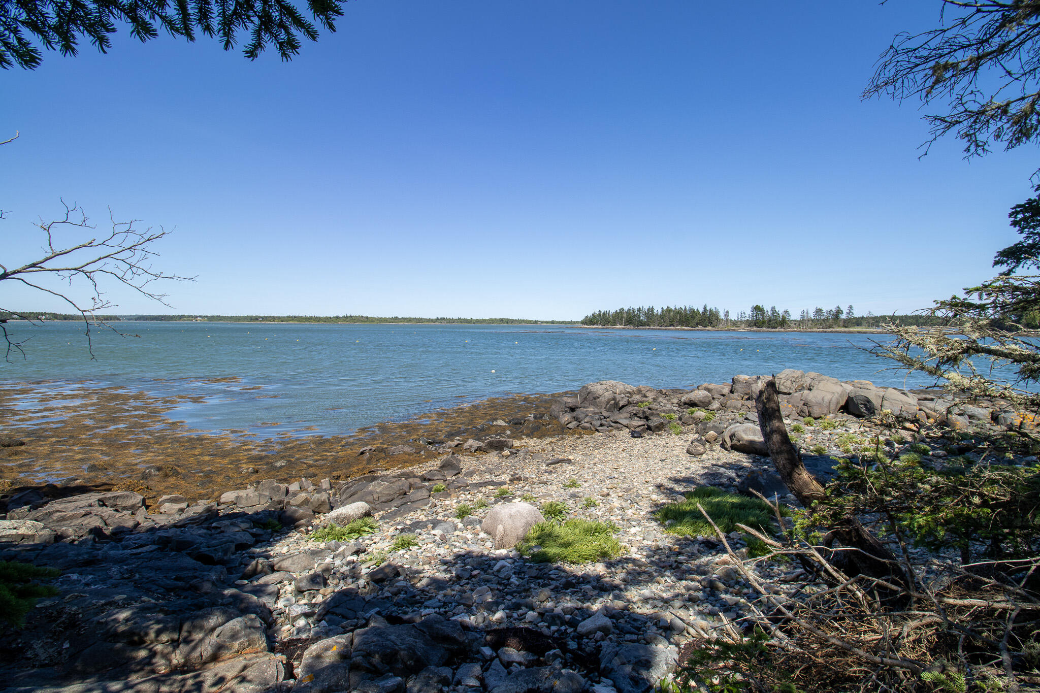 0 Wohoa Bay Island Addison, ME 04606 - Photo 36 of 69 39