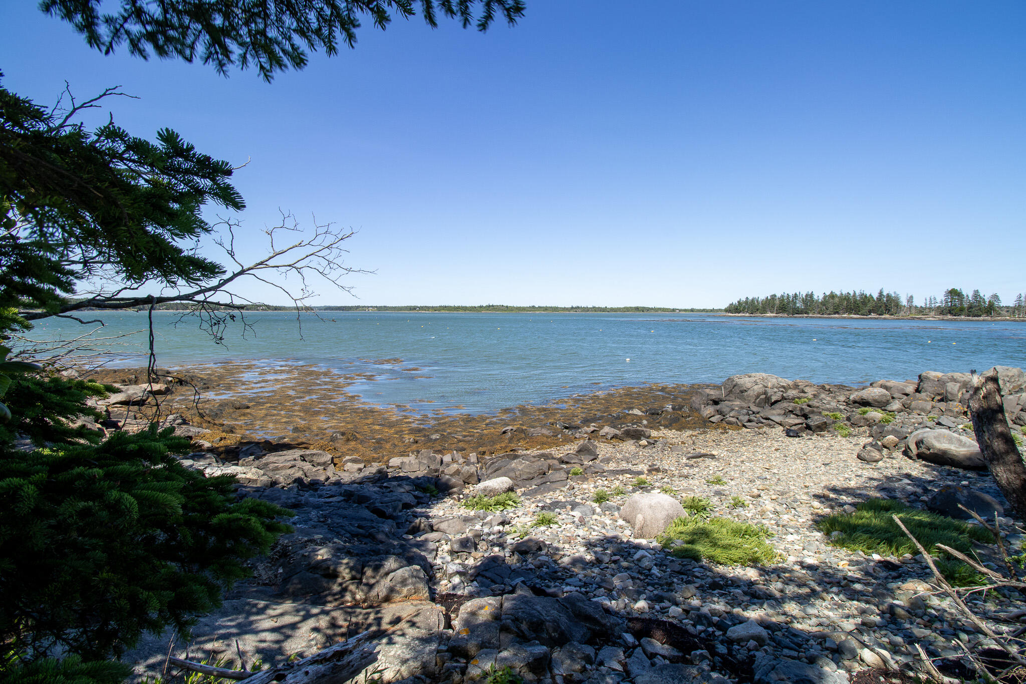 0 Wohoa Bay Island Addison, ME 04606 - Photo 37 of 69 38