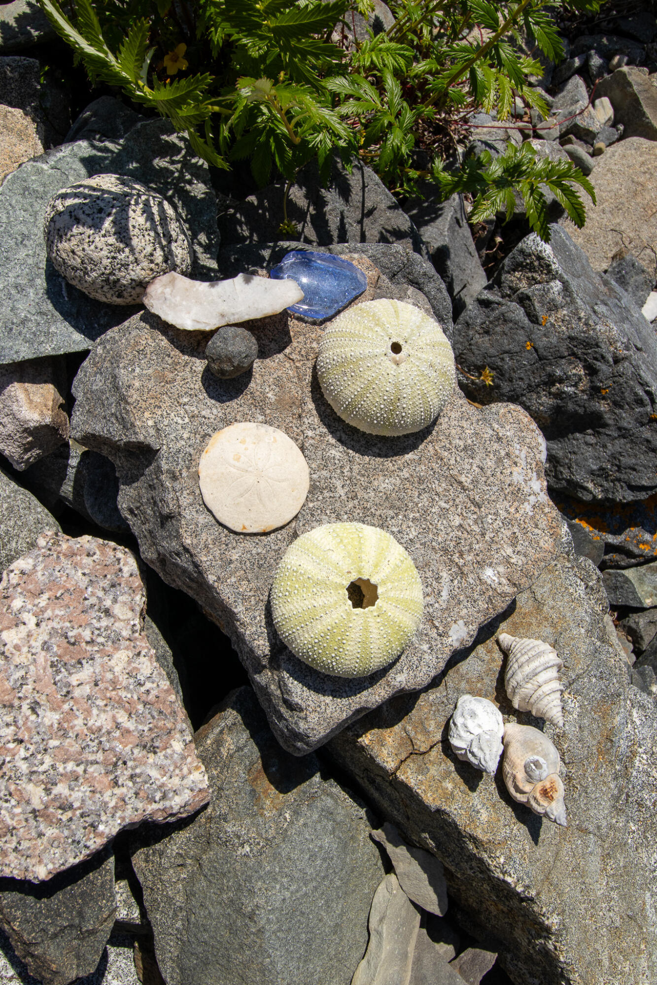 0 Wohoa Bay Island Addison, ME 04606 - Photo 38 of 69 36