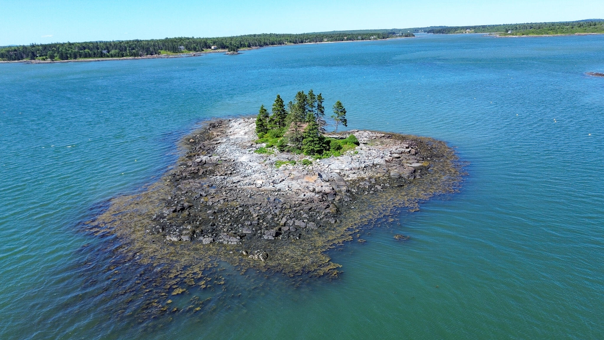 0 Wohoa Bay Island Addison, ME 04606 - Photo 63 of 69 9