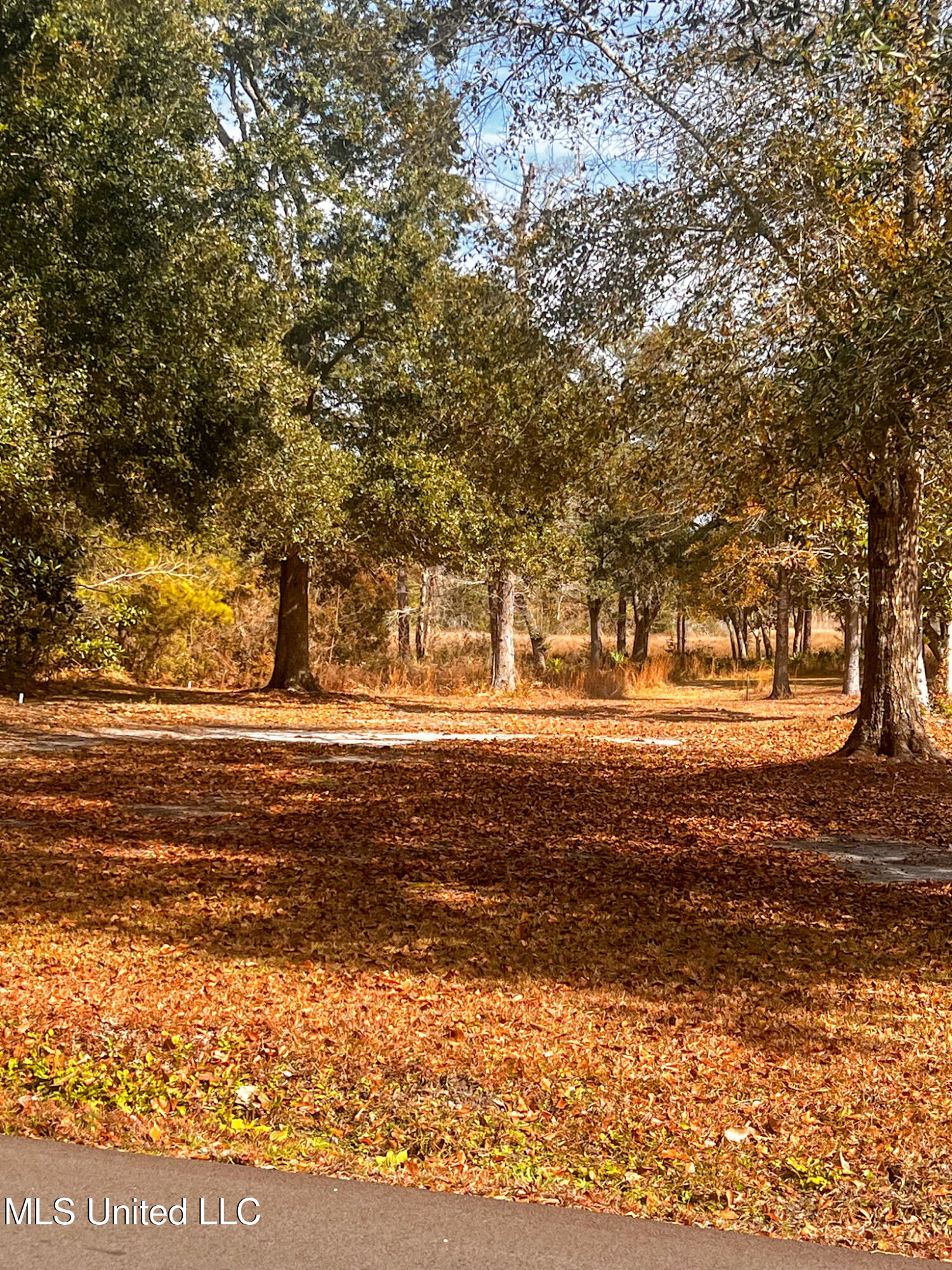Lot 2 Eagle Point Road Ocean Springs, MS 39564 - Photo 3 of 12 IMG_4165 (1)