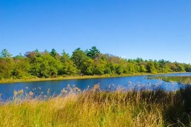 a aerial view of house with outdoor space